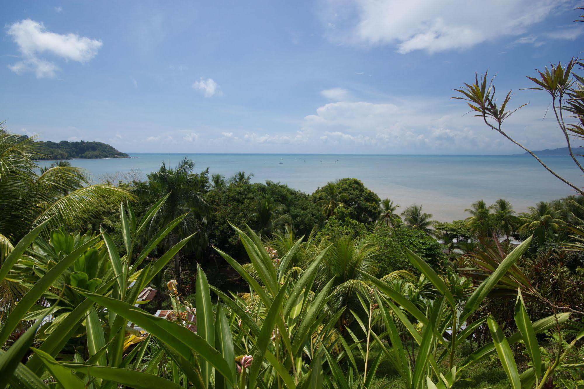 Hotel Rancho Corcovado Drakes Bay Dış mekan fotoğraf